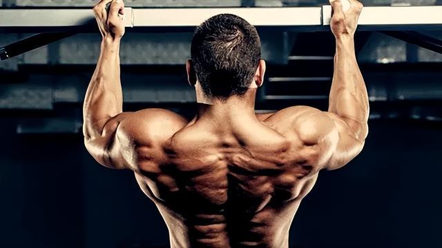 皇冠新体育官方 理想肩腰比训练指南侧重练